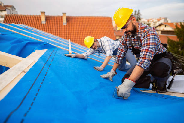 Best Roof Waterproofing Services  in Rio Grande, NJ