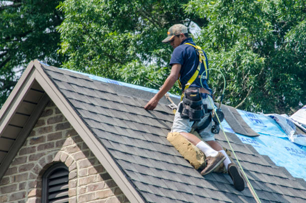 Best Residential Roofing Contractor  in Rio Grande, NJ