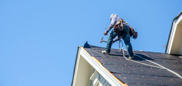 Best Roof Gutter Cleaning  in Rio Grande, NJ